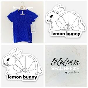 lululemon Limited Ed Swiftly Tech Short Sleeve SeaWheeze Chroma Psychic Sz 4 NWT